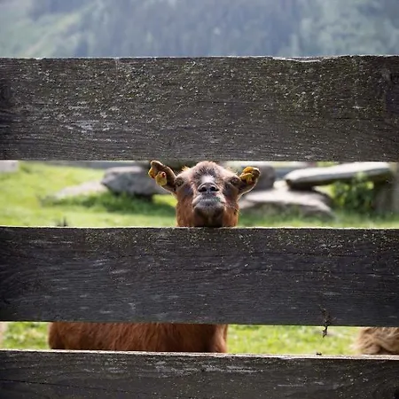 아파트 Ledererhof Aschau Im Zillertal