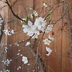 Ledererhof Apartment Aschau Im Zillertal
