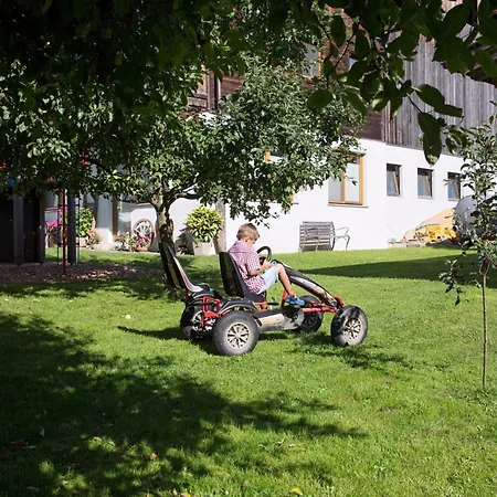 Ledererhof Apartment *