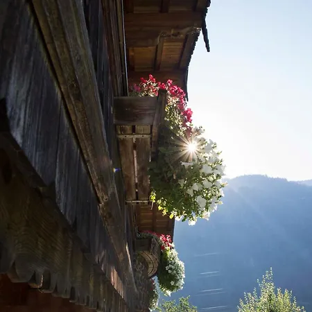 Ledererhof Appartement