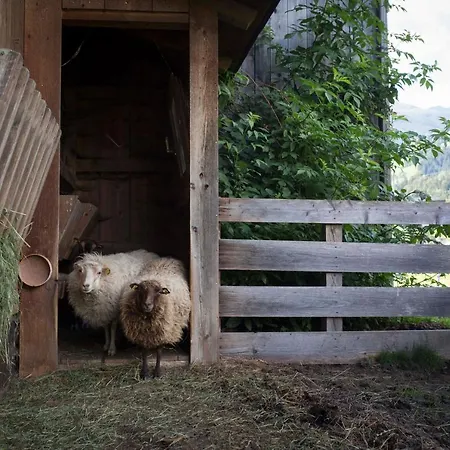 Appartement Ledererhof *