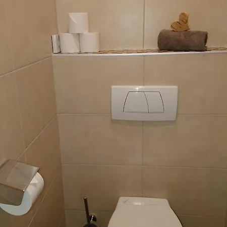Ledererhof Appartement Aschau Im Zillertal